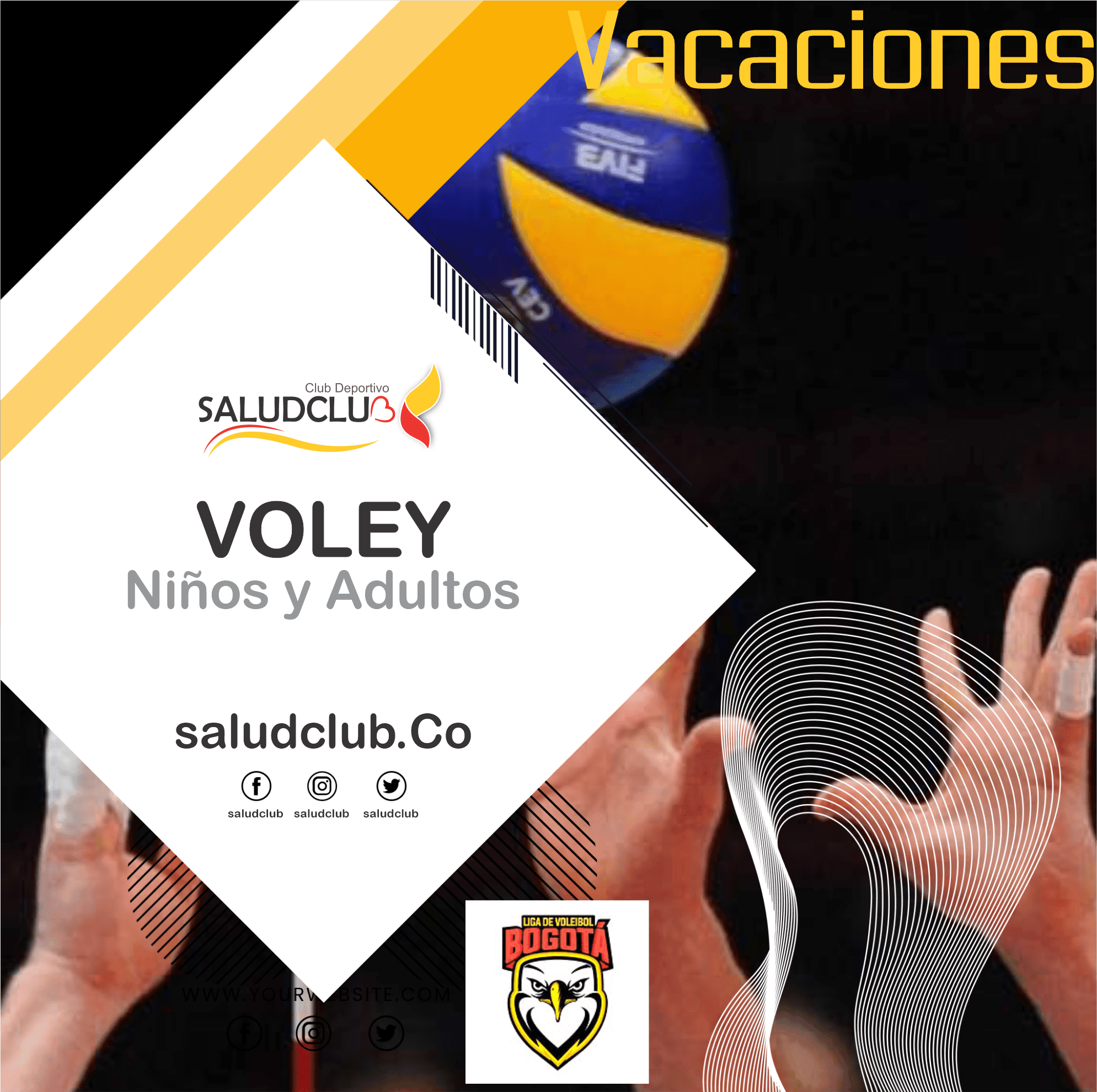 Voley